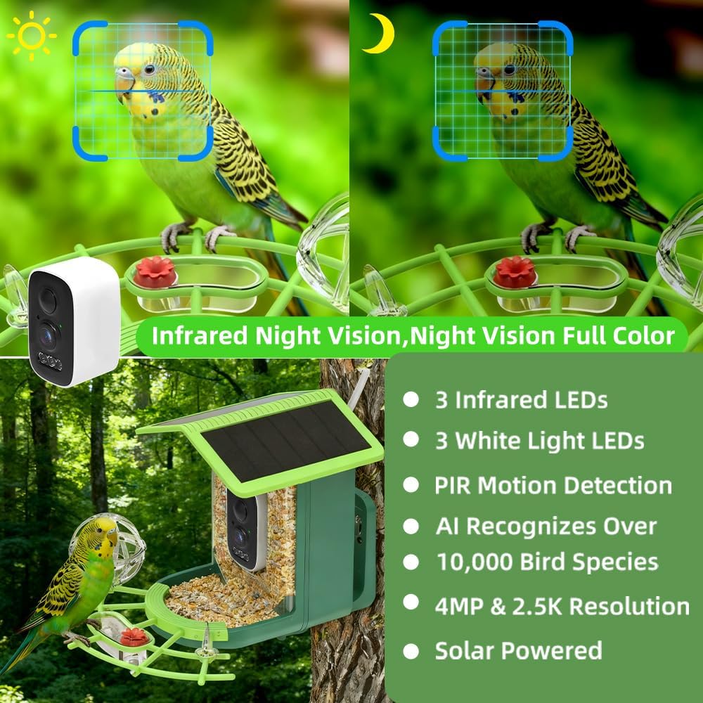 Real Time Bird watching WIFI A - A1 Watches & Jewelry New York Photos recension och pris