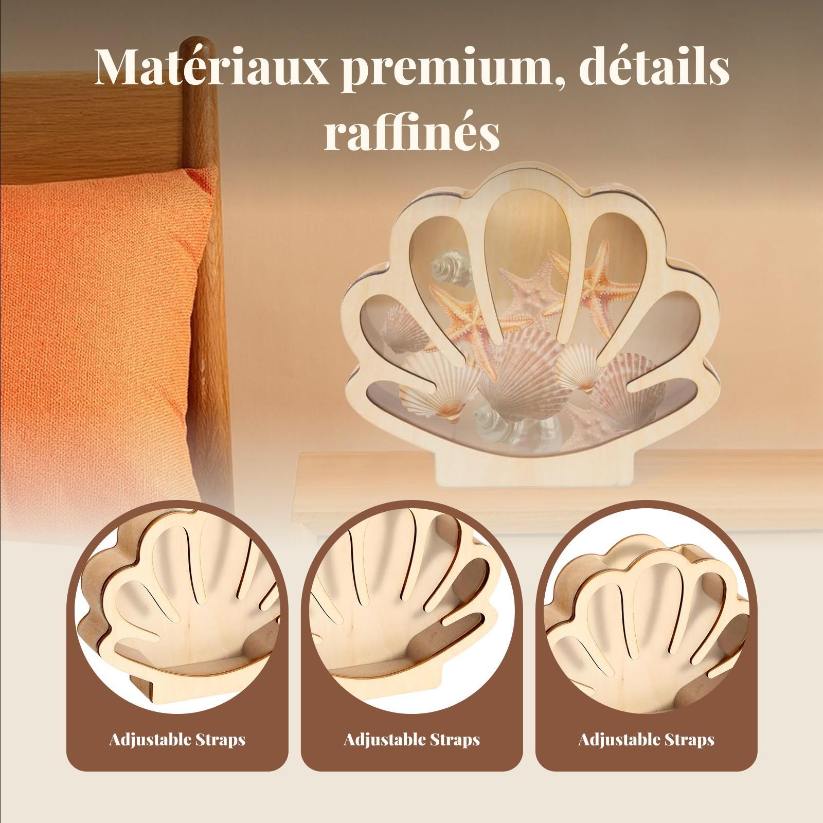 Wooden Shell Display Box Colle - Collectors Coins Jewelry & Watches Of Smithtown recension och pris